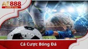 Cá cược bóng đá tại AE888